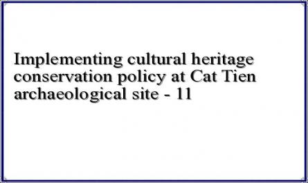 Implementing cultural heritage conservation policy at Cat Tien archaeological site - 11