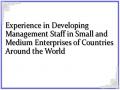 Experience in Developing Management Staff in Small and Medium Enterprises of Countries Around the World