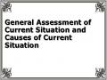 General Assessment of Current Situation and Causes of Current Situation