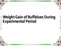 Weight Gain of Buffaloes During Experimental Period
