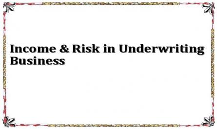 Income & Risk in Underwriting Business