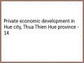 Private economic development in Hue city, Thua Thien Hue province - 14