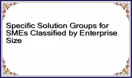 Specific Solution Groups for SMEs Classified by Enterprise Size