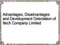 Advantages, Disadvantages and Development Orientation of Itech Company Limited