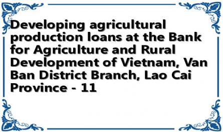 Developing agricultural production loans at the Bank for Agriculture and Rural Development of Vietnam, Van Ban District Branch, Lao Cai Province - 11