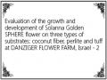 Evaluation of the growth and development of Solanna Golden SPHERE flower on three types of substrates: coconut fiber, perlite and tuff at DANZIGER FLOWER FARM, Israel - 2