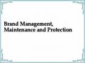 Brand Management, Maintenance and Protection