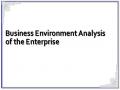 Business Environment Analysis of the Enterprise