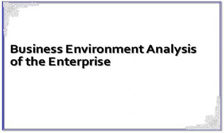 Business Environment Analysis of the Enterprise