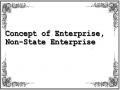 Concept of Enterprise, Non-State Enterprise