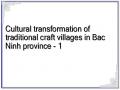 Cultural transformation of traditional craft villages in Bac Ninh province - 1