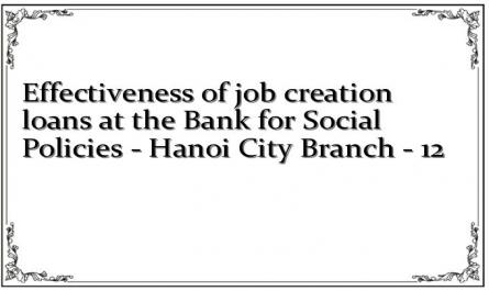 Effectiveness of job creation loans at the Bank for Social Policies - Hanoi City Branch - 12