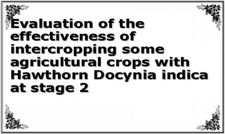 Evaluation of the effectiveness of intercropping some agricultural crops with Hawthorn Docynia indica at stage 2