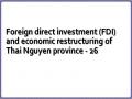 Foreign direct investment (FDI) and economic restructuring of Thai Nguyen province - 26