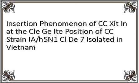 Insertion Phenomenon of CC Xit In at the Cle Ge Ite Position of CC Strain IA/h5N1 Cl De 7 Isolated in Vietnam