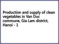Production and supply of clean vegetables in Van Duc commune, Gia Lam district, Hanoi - 1
