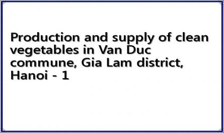 Production and supply of clean vegetables in Van Duc commune, Gia Lam district, Hanoi - 1