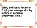 Salary and Bonus Regime of Employees: Average Monthly Income of Company Employees: Table 3: