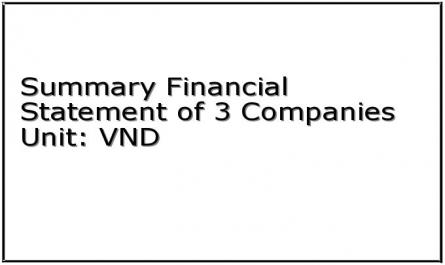 Summary Financial Statement of 3 Companies Unit: VND