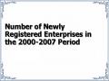 Number of Newly Registered Enterprises in the 2000-2007 Period