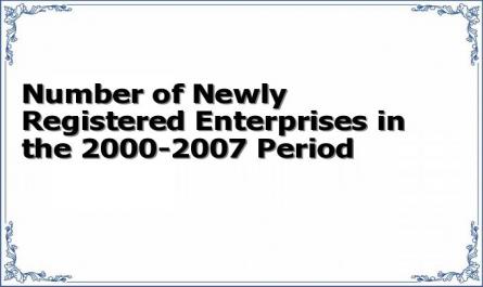 Number of Newly Registered Enterprises in the 2000-2007 Period