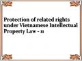 Protection of related rights under Vietnamese Intellectual Property Law - 11