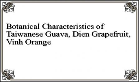 Botanical Characteristics of Taiwanese Guava, Dien Grapefruit, Vinh Orange