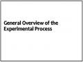General Overview of the Experimental Process