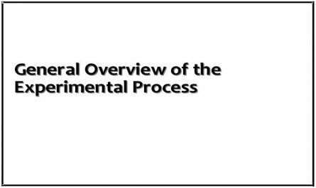 General Overview of the Experimental Process