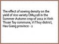 The effect of sowing density on the yield of rice variety OM4218 in the Summer-Autumn crop of 2012 in Vinh Thuan Tay commune, Vi Thuy district, Hau Giang province - 2