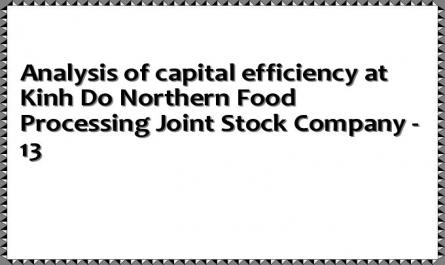 Analysis of capital efficiency at Kinh Do Northern Food Processing Joint Stock Company - 13