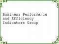 Business Performance and Efficiency Indicators Group