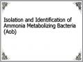 Isolation and Identification of Ammonia Metabolizing Bacteria (Aob)
