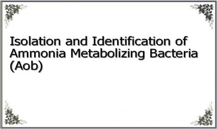 Isolation and Identification of Ammonia Metabolizing Bacteria (Aob)