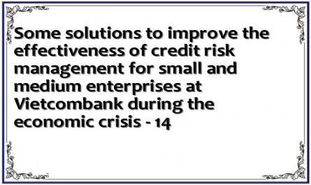 Some solutions to improve the effectiveness of credit risk management for small and medium enterprises at Vietcombank during the economic crisis - 14