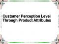 Customer Perception Level Through Product Attributes