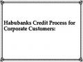 Habubanks Credit Process for Corporate Customers: