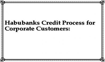 Habubanks Credit Process for Corporate Customers: