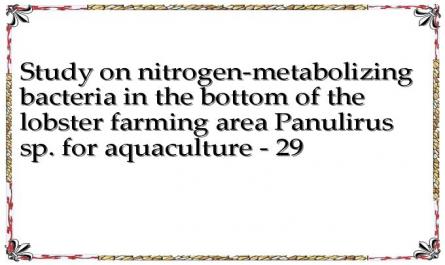 Study on nitrogen-metabolizing bacteria in the bottom of the lobster farming area Panulirus sp. for aquaculture - 29