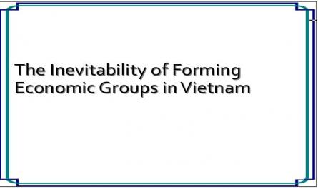The Inevitability of Forming Economic Groups in Vietnam