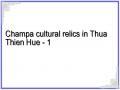 Champa cultural relics in Thua Thien Hue - 1