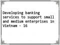 Developing banking services to support small and medium enterprises in Vietnam - 16