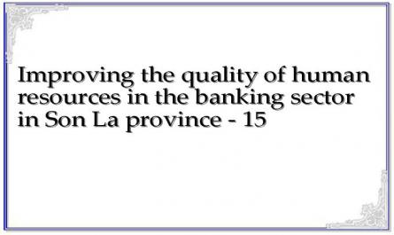 Improving the quality of human resources in the banking sector in Son La province - 15