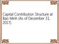 Capital Contribution Structure at Bao Minh (As of December 31, 2017)