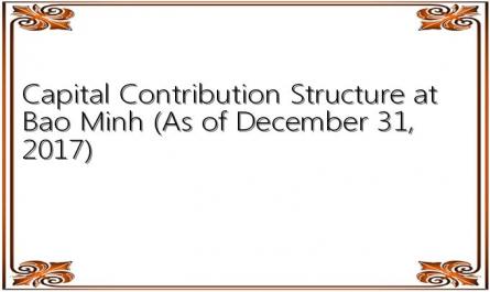 Capital Contribution Structure at Bao Minh (As of December 31, 2017)