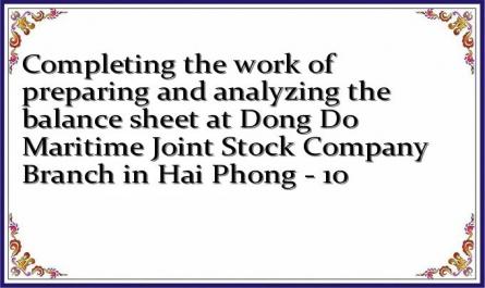 Completing the work of preparing and analyzing the balance sheet at Dong Do Maritime Joint Stock Company Branch in Hai Phong - 10