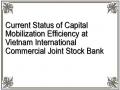 Current Status of Capital Mobilization Efficiency at Vietnam International Commercial Joint Stock Bank