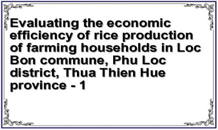 Evaluating the economic efficiency of rice production of farming households in Loc Bon commune, Phu Loc district, Thua Thien Hue province - 1