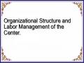 Organizational Structure and Labor Management of the Center.