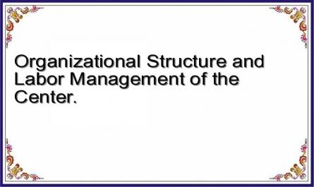 Organizational Structure and Labor Management of the Center.